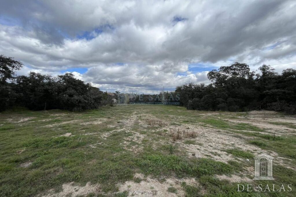 Inmuebles 6 Parcela en Ciudalcampo - 4650 m2